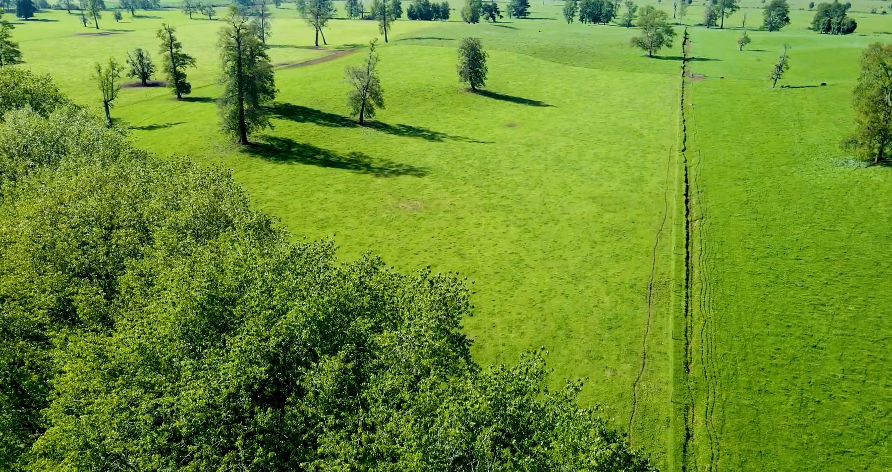 Vista aérea de praderas en San Luis.