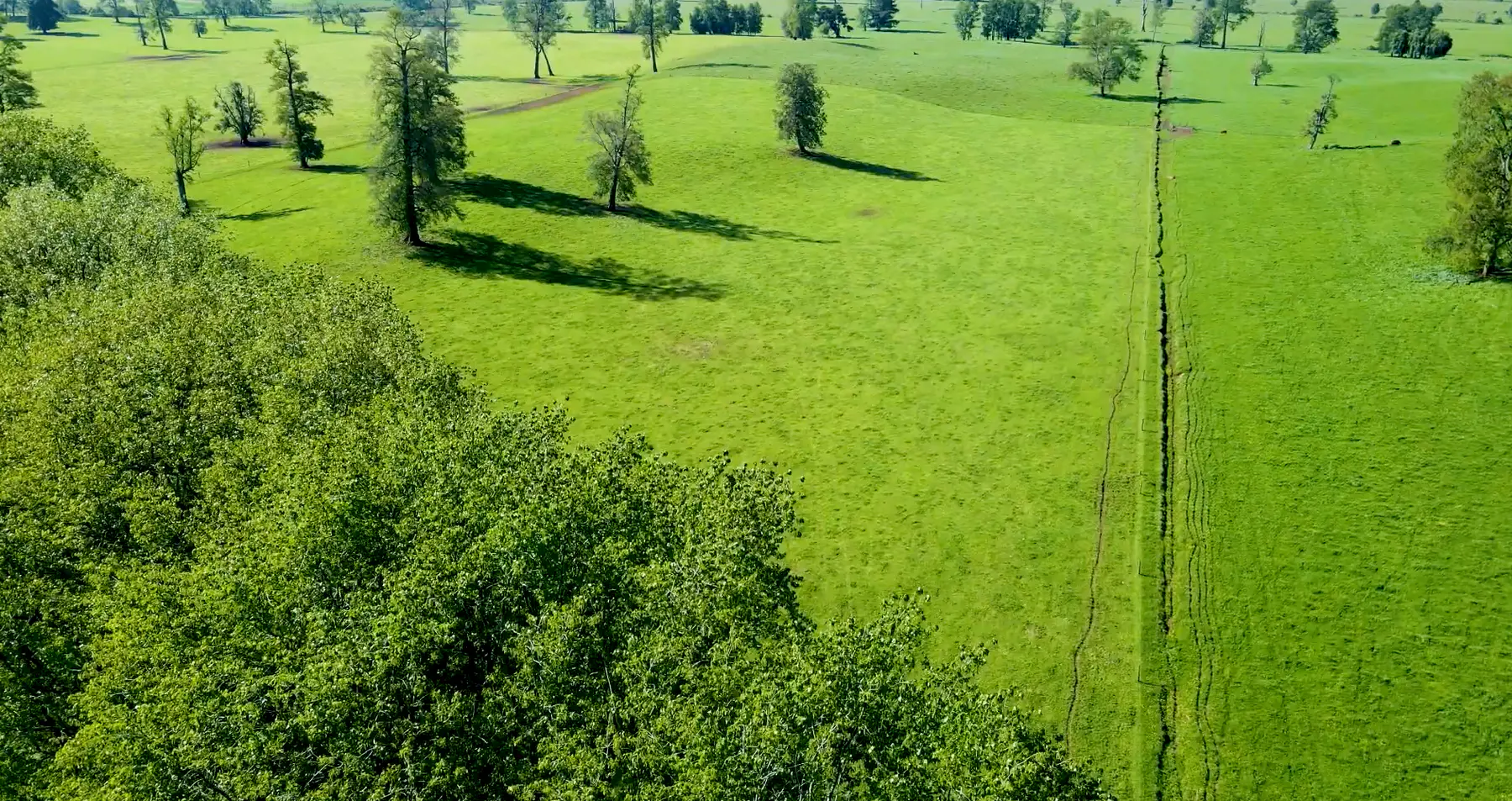 Vista aérea de praderas en San Luis.